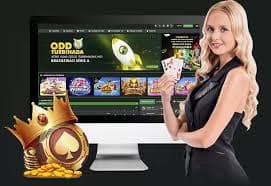 bdtcasino গোপনীয়তা নীতি ও ব্যবহারকারীর তথ্য সচেতনতা